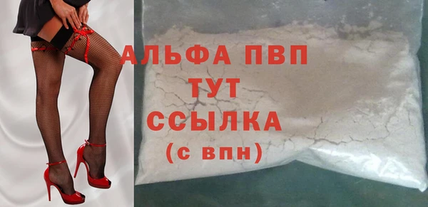 спиды Тайга