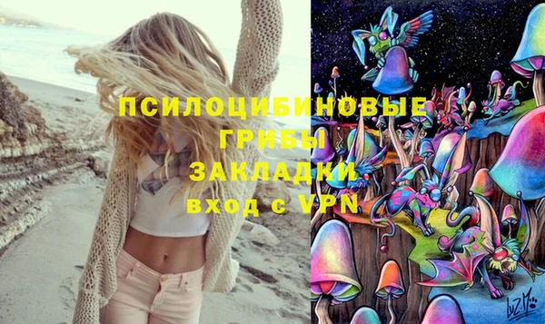 прущие крисы Сясьстрой