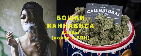 спиды Тайга