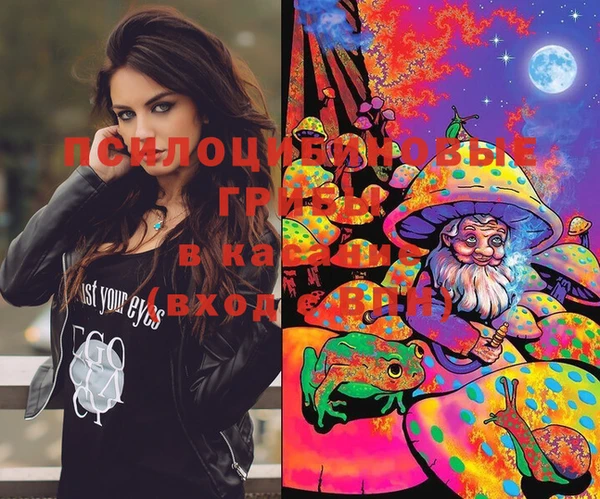 МДПВ Тобольск