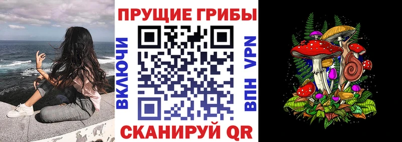 Купить где  Владикавказ  Галлюциногенные грибы ЛСД 